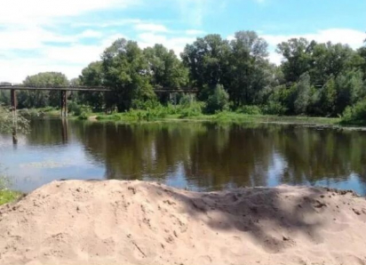 Жители Куйбышевского района Самары просят остановить вырубку леса на берегу реки Татьянки