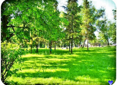 Федорищев поручил до конца года благоустроить Загородный парк