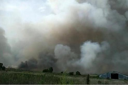 Эколог рассказал, почему в России неизбежны лесные пожары
