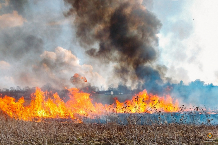 МЧС: на границе Ульяновской и Самарской области горело 18 га травы