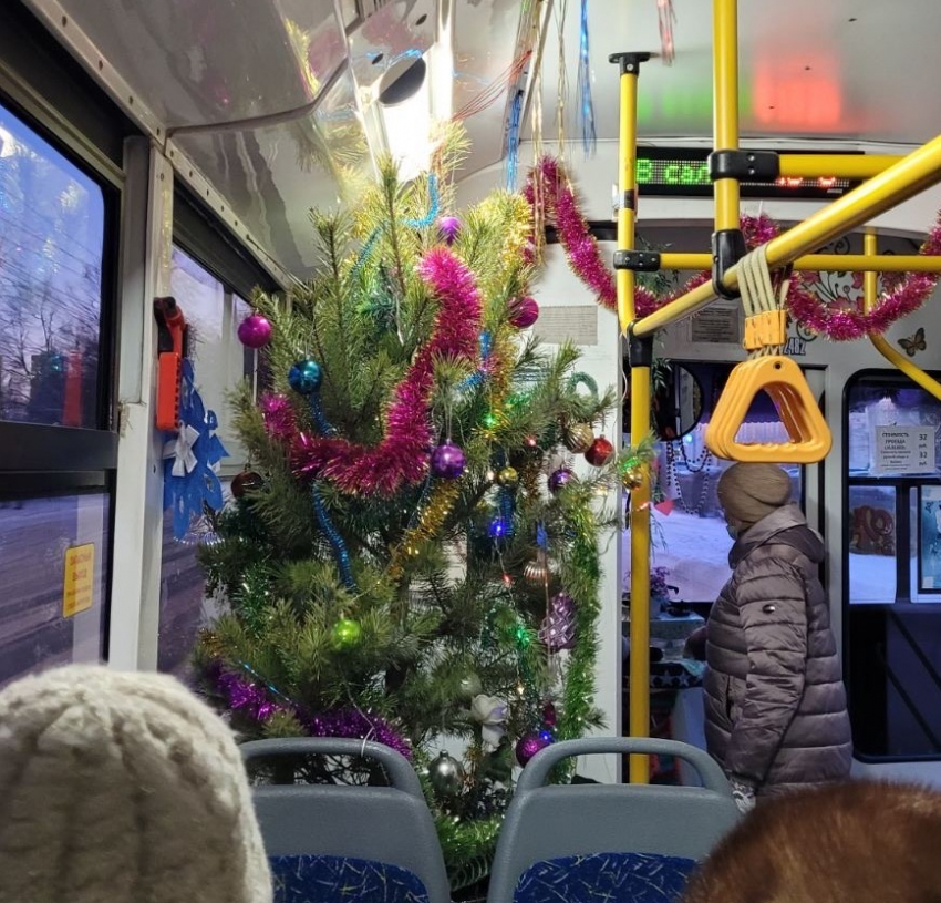В тольяттинском троллейбусе установили новогоднюю ёлку