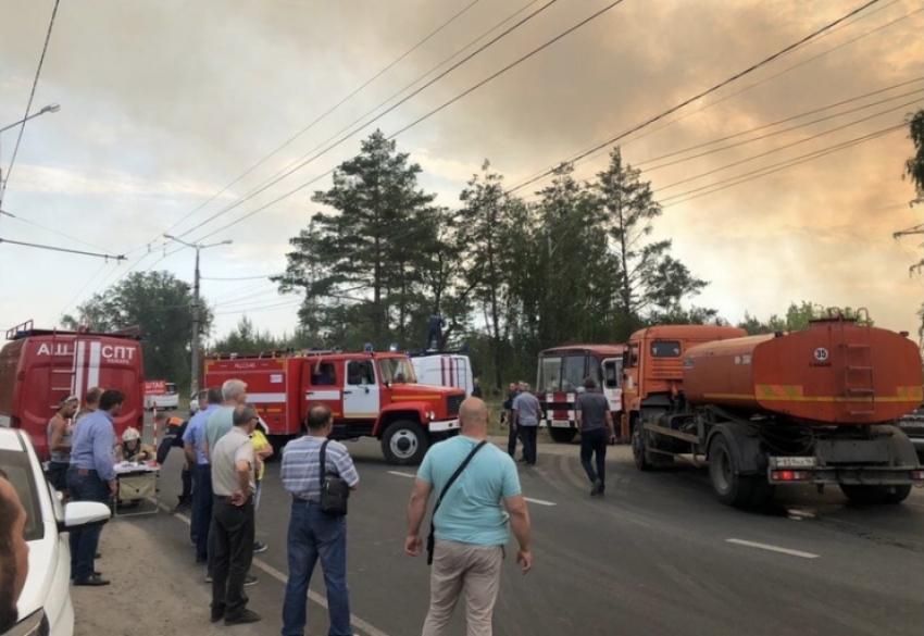 На месте лесного пожара в Тольятти нашли остатки канистры