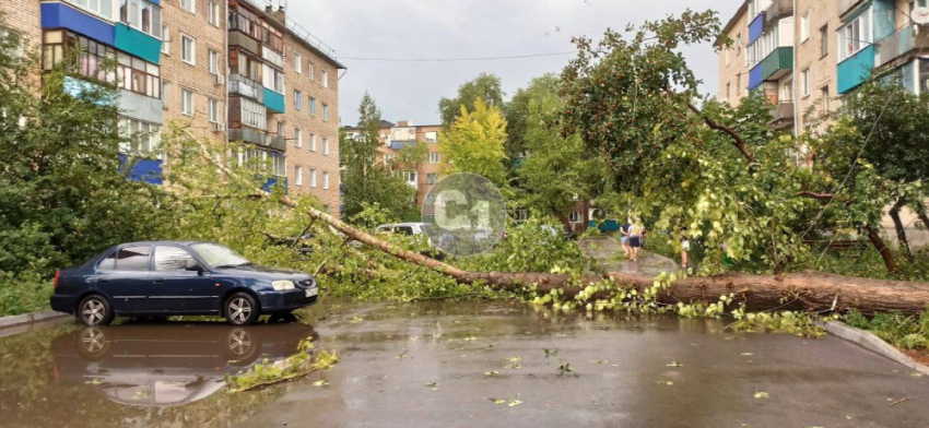 Деревья выкорчевало с корнем: по Самарской области пронеслась гроза