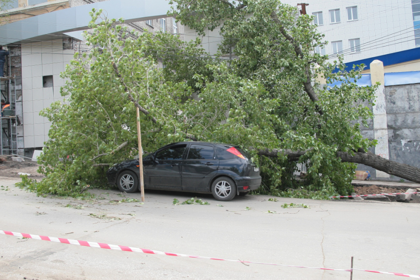В Самаре автовладелец выиграл суд за повреждённый упавшим деревом автомобиль