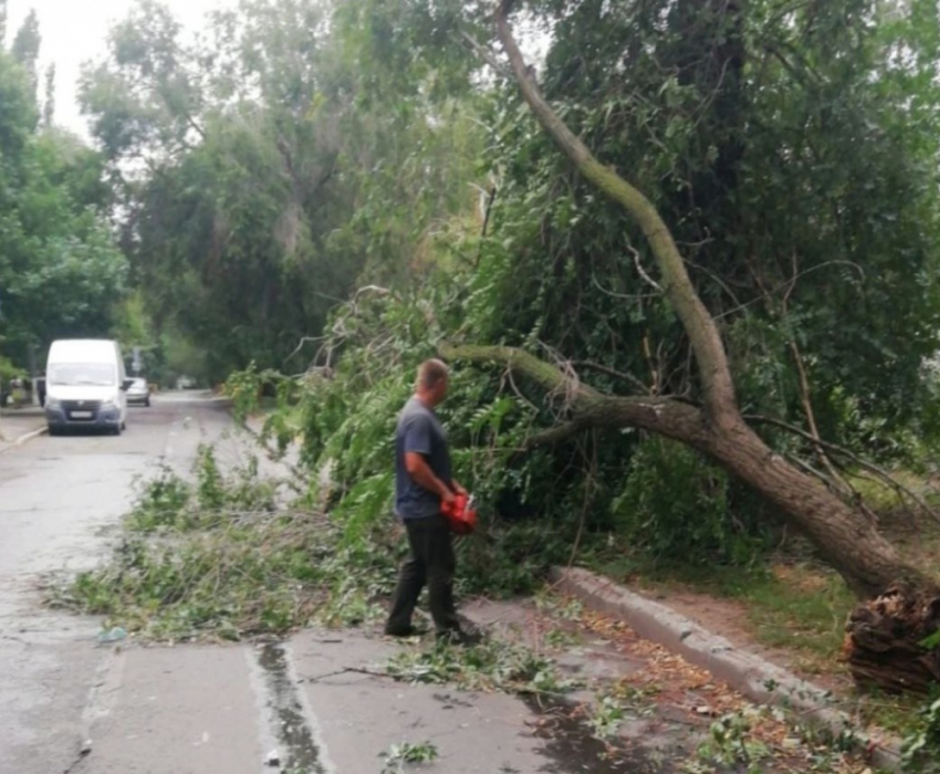 Последствия урагана в Самарской области: у 6 зданий сорвало крышу, упало 59 деревьев, 3 человека пострадали
