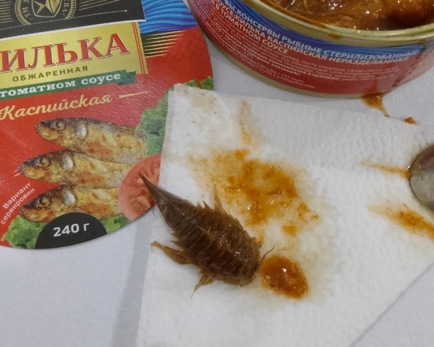 «Трилобит, триопс, тритон?»: тольяттинцы обнаружили в банке с килькой «морского таракана» 