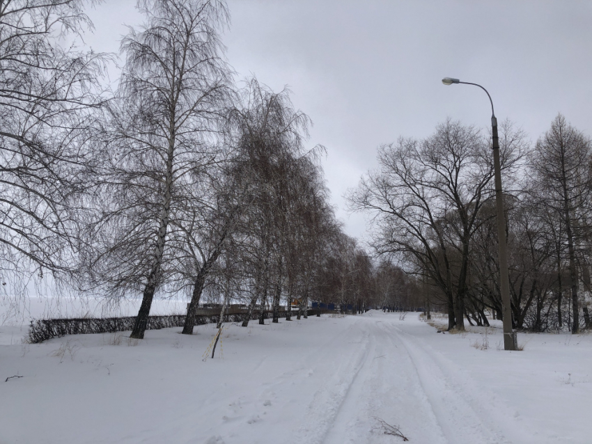 В воскресенье в Самаре будет облачно и ветрено
