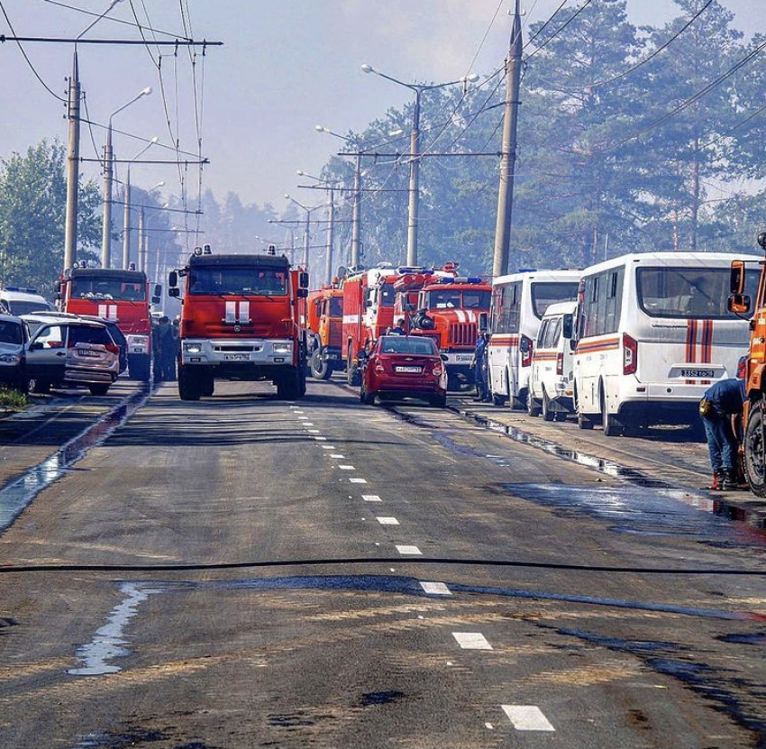 Пожар в тольяттинском лесу полностью ликвидирован