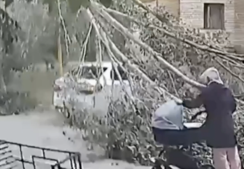 Во дворе дома на улице Нагорной в Самаре дерево упало рядом с коляской с ребёнком