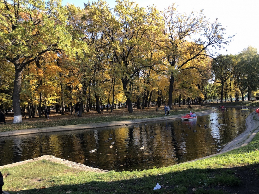 Самарцев ждёт холодная и солнечная пятница