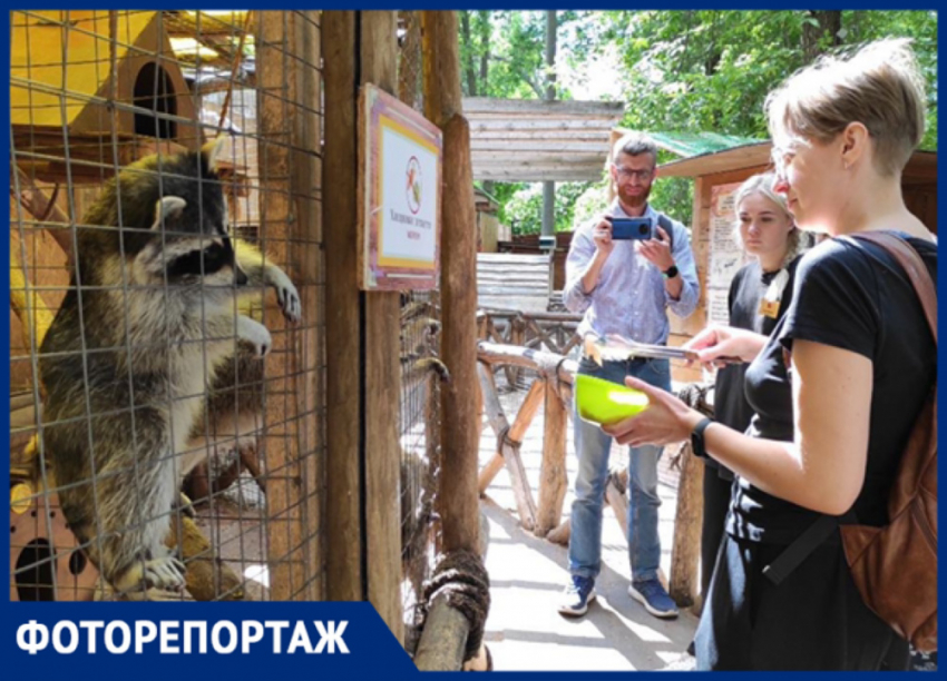 В живом уголке «Сказка» можно понаблюдать за животными и пообщаться с ними