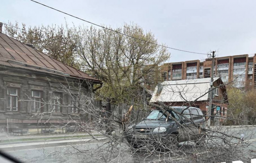 Поваленные деревья и сорванные крыши: в Самарской области разгулялась стихия 