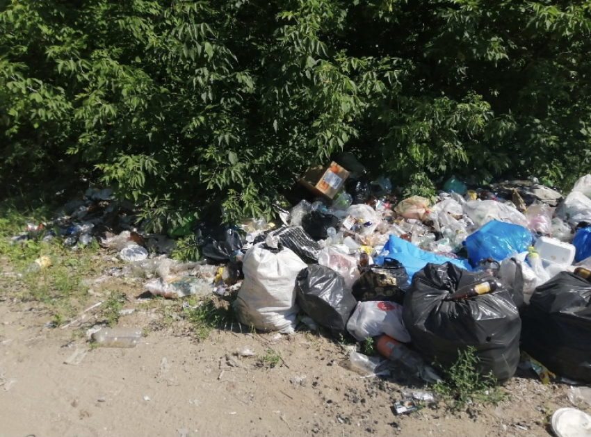 Власти Самарской области не справляются с мусором 