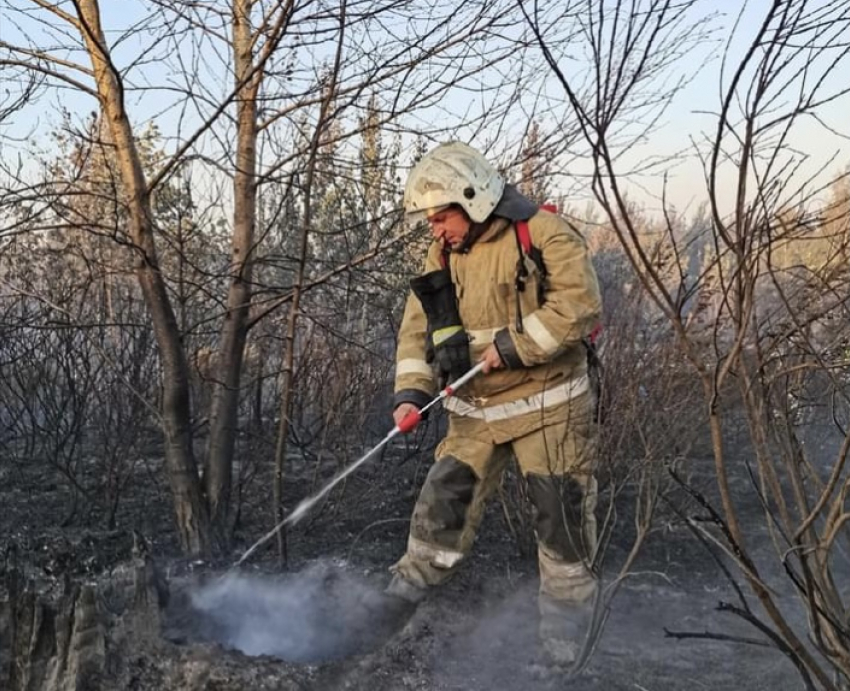 В Тольятти разыскивают злоумышленника, который устроил пожар лесу