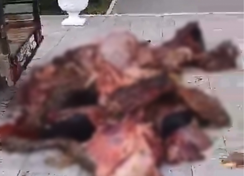 В Нефтегорске мужчина выбросил тушу мёртвой коровы перед зданием администрации
