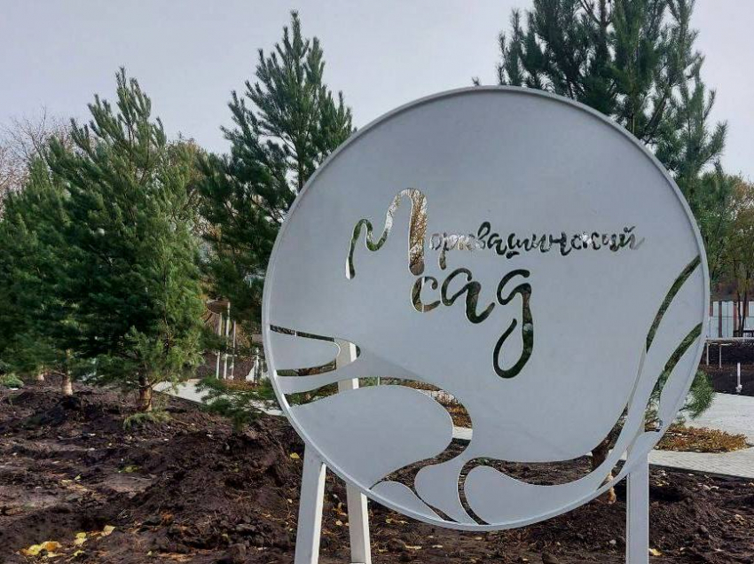 В Жигулёвске благоустраивают Морквашинский сад