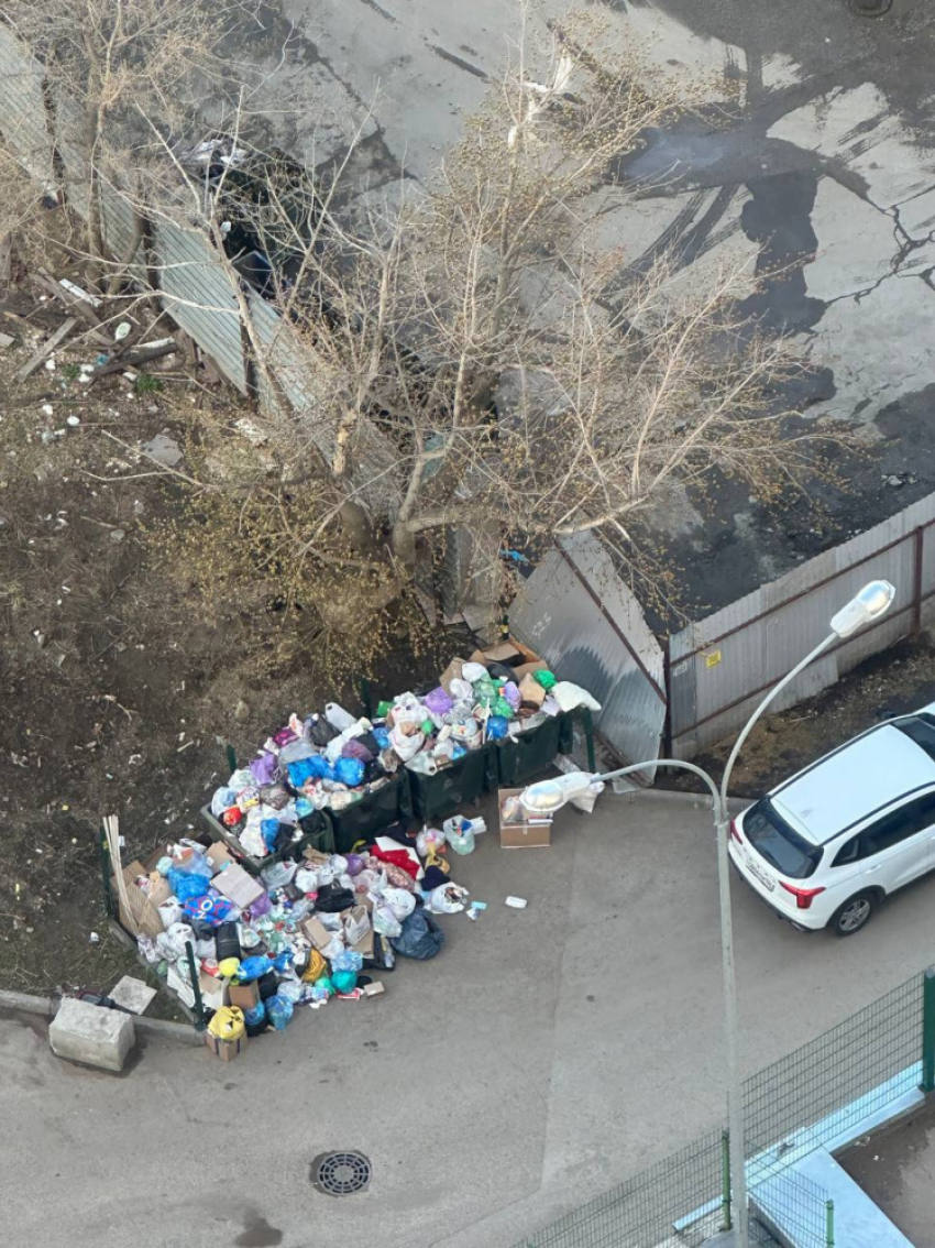 В Самарской области зафиксировали всплеск незаконных свалок