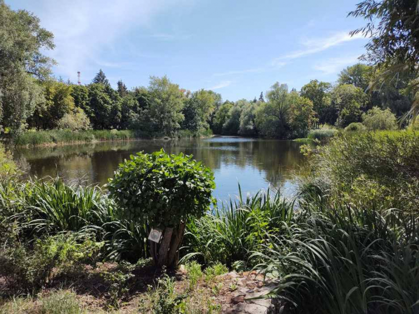 «Прекрасное место, чтобы отключать голову и релаксировать»: самарский блогер Игорь Кондратьев прогулялся по Ботаническому саду