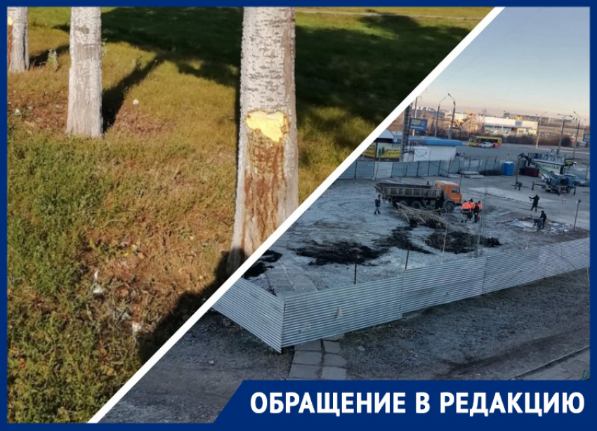 Бургер вместо тополей: жителей экологически грязного жилмассива Тольятти лишают последней рощи