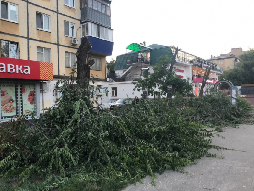 На двух улицах Самары беспощадно вырубили деревья