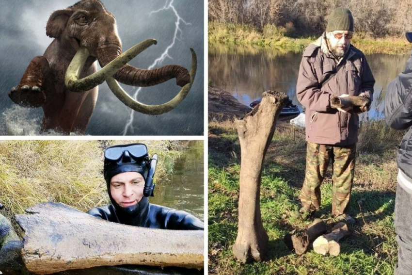 Погиб в схватке с носорогом: в Самарской области рыбаки нашли мамонта