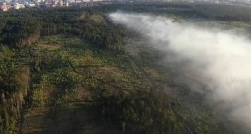 Предполагаемой причиной пожара в лесу Тольятти снова назвали поджог