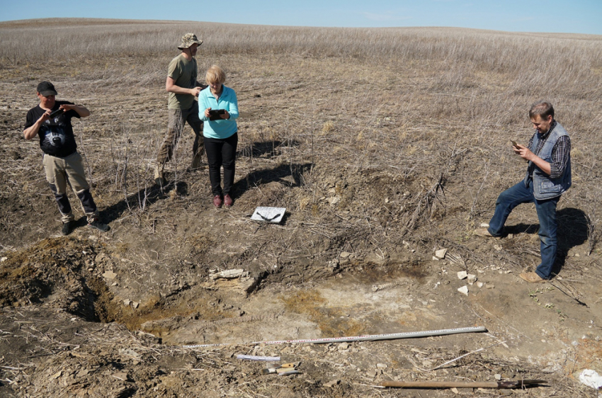 Часть скелета и обед: тракторист в Самарской области нашёл останки ихтиозавра