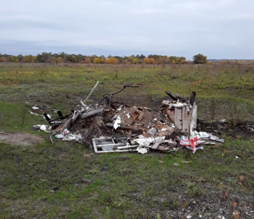 Узнали, где в Самарской области свозят на свалку трупы животных