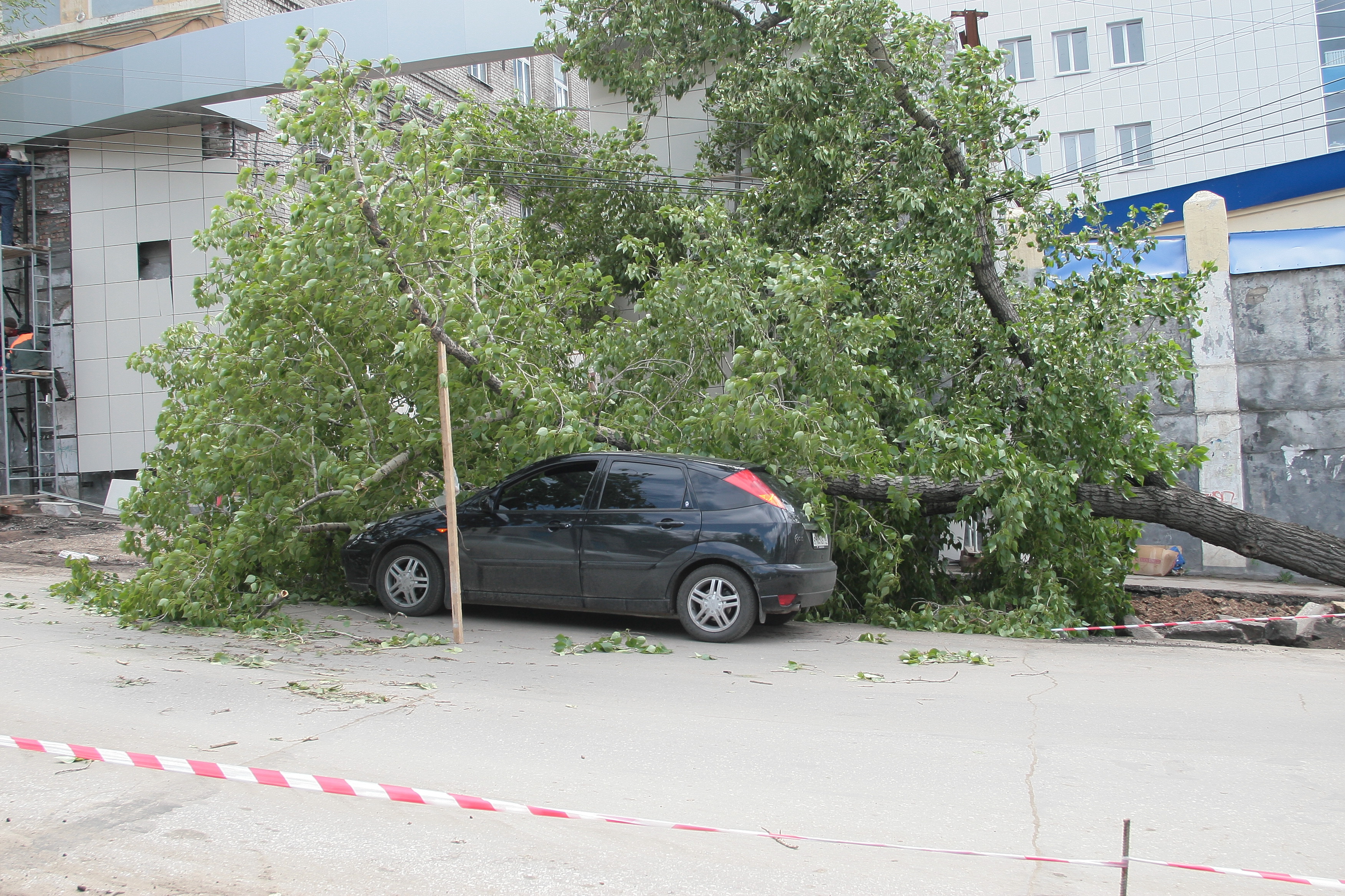 В Самаре автовладелец выиграл суд за повреждённый упавшим деревом автомобиль